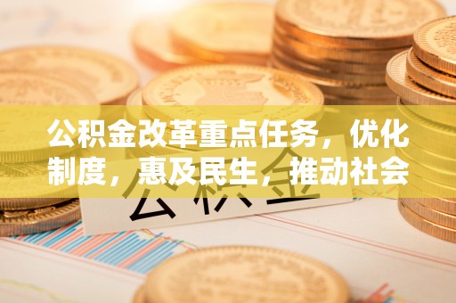 临沭公积金改革重点任务，优化制度，惠及民生，推动社会公平发展