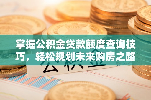 临沭掌握公积金贷款额度查询技巧，轻松规划未来购房之路