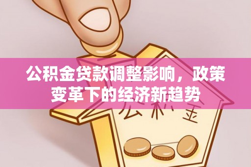 临沭公积金贷款调整影响，政策变革下的经济新趋势