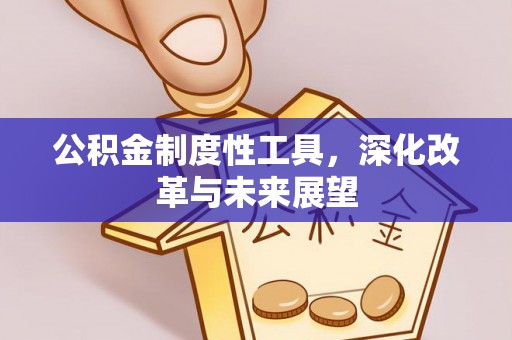 临沭公积金制度性工具，深化改革与未来展望