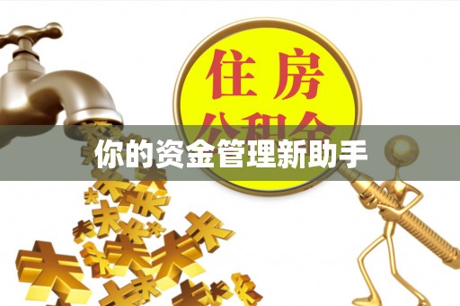 临沭你的资金管理新助手