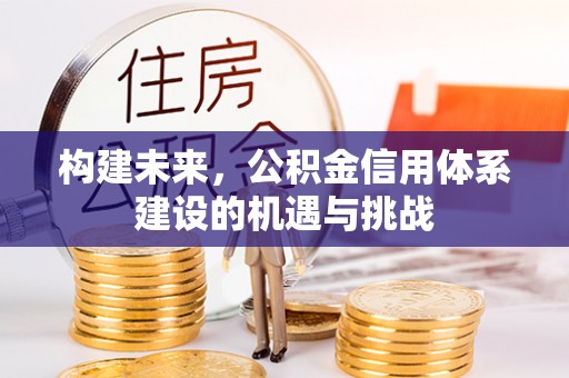 临沭构建未来，公积金信用体系建设的机遇与挑战