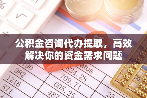 临沭公积金咨询代办提取，高效解决你的资金需求问题