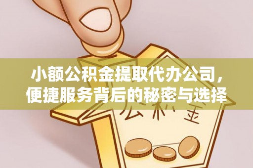 临沭小额公积金提取代办公司，便捷服务背后的秘密与选择指南