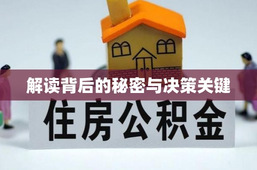 临沭解读背后的秘密与决策关键